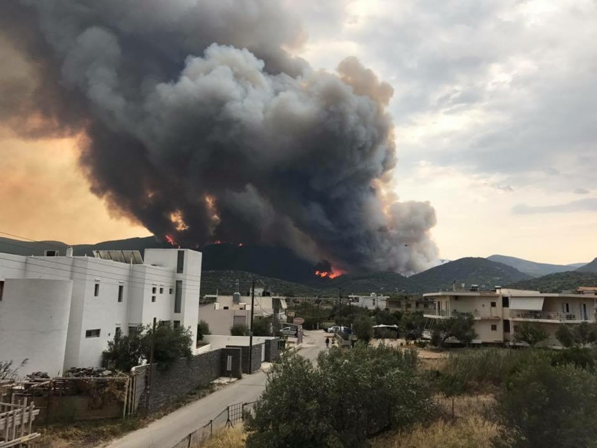 Φωτιά στο Σοφικό Κορινθίας: Δυσκολεύει το έργο της κατάσβεσης – Ενισχύονται οι πυροσβεστικές δυνάμεις [pic, vid]