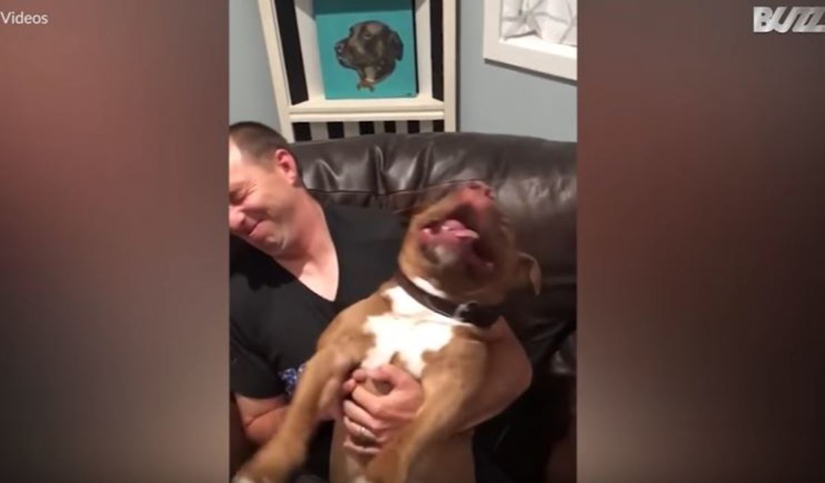Απίστευτο φτέρνισμα σκύλου – Δείτε το viral βίντεο!