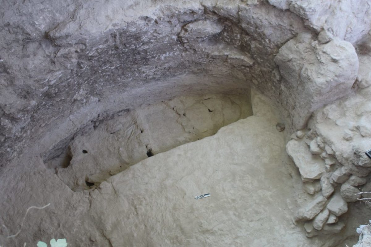 Νεμέα: Στο φως νέα μνημεία στο Μυκηναϊκό νεκροταφείο των Αηδονιών – Στη δημοσιότητα οι εικόνες [pics]