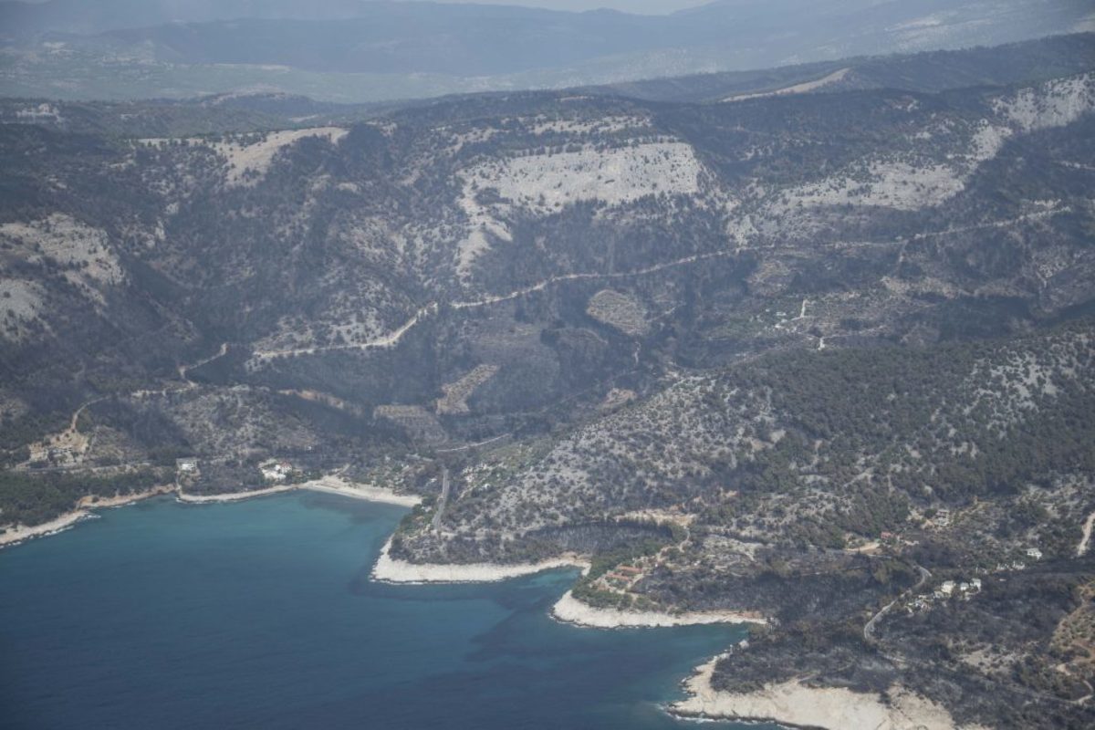 Υπό μερικό έλεγχο η φωτιά στην Θάσο