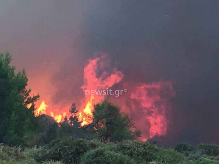 Πύρινη κόλαση η Ελλάδα! 91 πυρκαγιές μέσα σε 24 ώρες