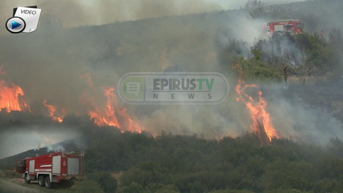 Ιωάννινα: Κινδύνεψε αξιωματικός της Πυροσβεστικής στη φωτιά της Βροντισμένης!