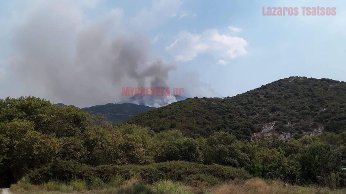 Μεγάλη φωτιά στο δάσος του Αχέροντα
