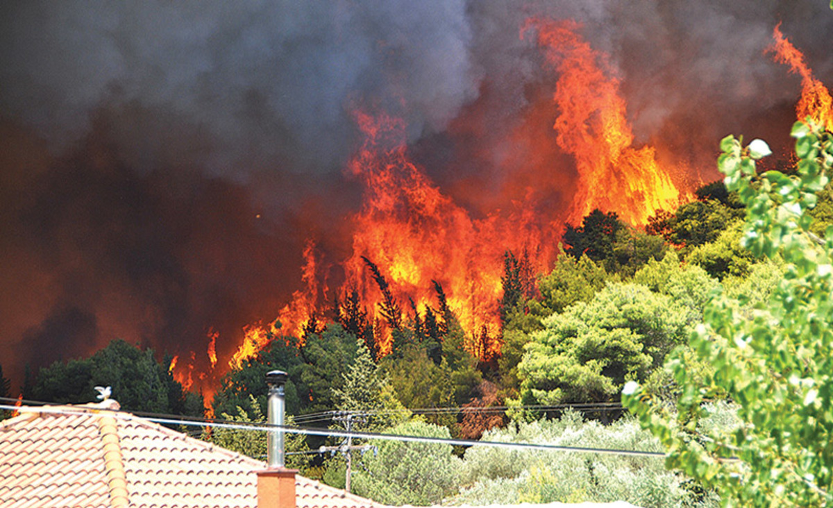 Ζάκυνθος: Οικολογική καταστροφή από τις μεγάλες φωτιές – Ψάχνουν τους εμπρηστές [pics]