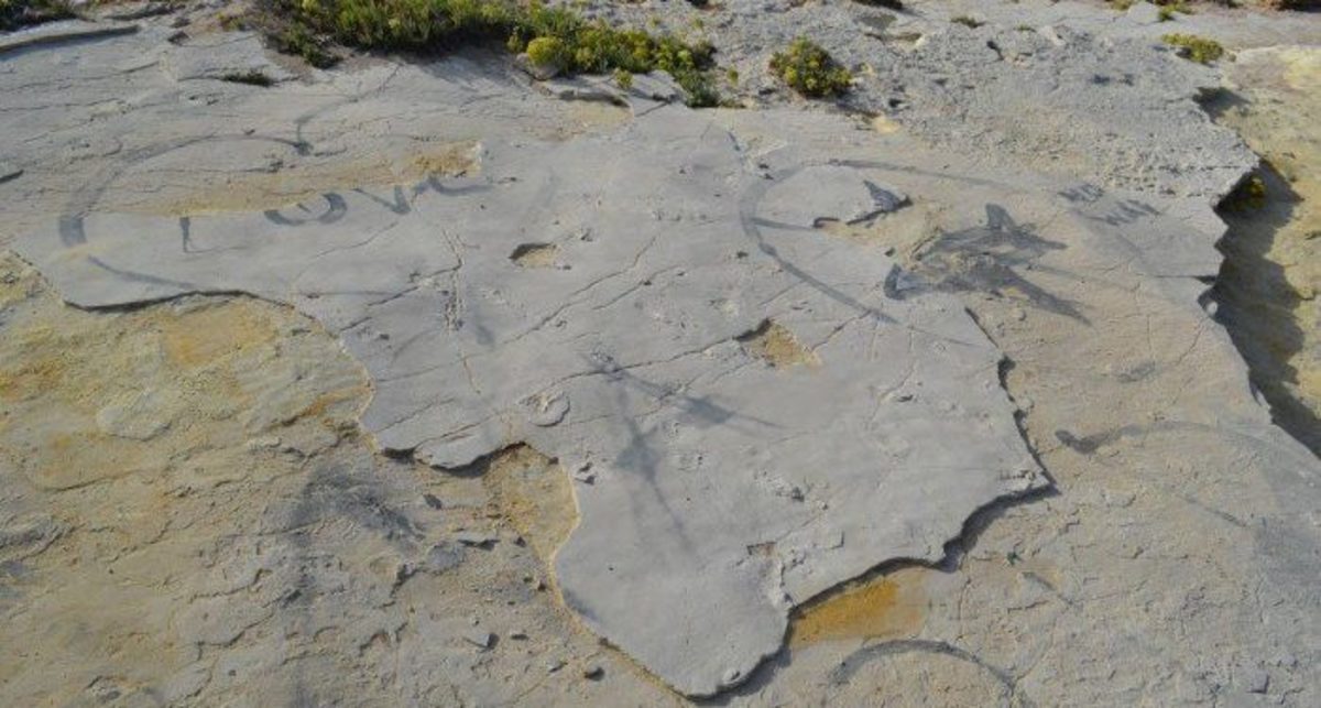 Κρήτη: Έκλεψαν τα πετρώματα με τις απολιθωμένες πατημασιές εκατομμυρίων ετών – Τους δείχνουν οι κάμερες!