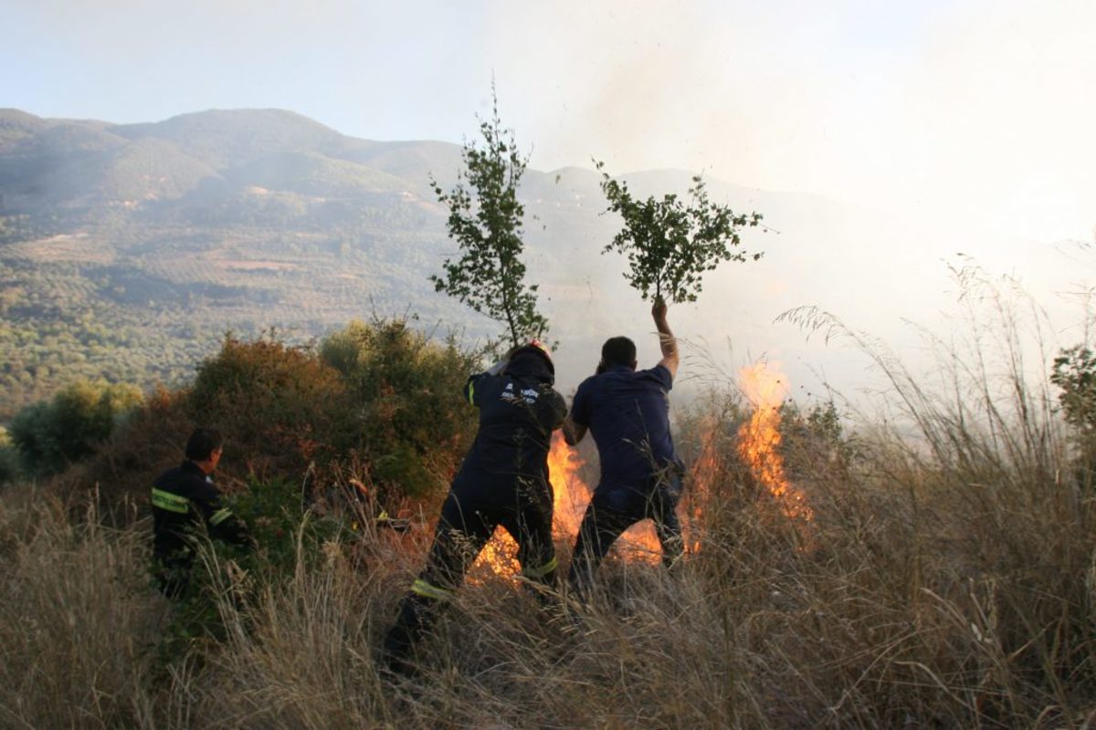 Χαλκιδική: Ζημιές σε σπίτια από τη φωτιά στον οικισμό Μόλα Καλύβα – Ο απολογισμός της καταστροφής!