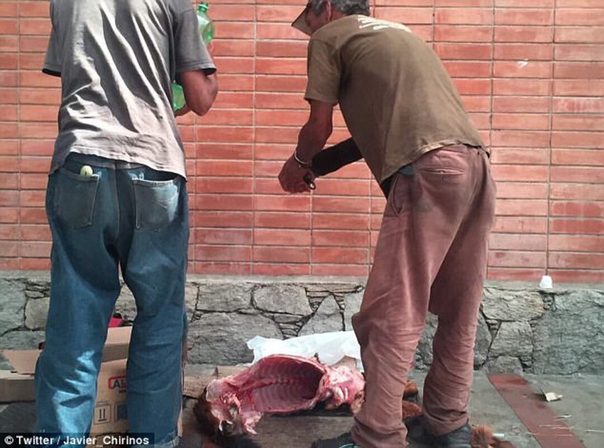 Βενεζουέλα: Εικόνες σοκ! Σφάζουν αδέσποτα σκυλιά για να τα φάνε