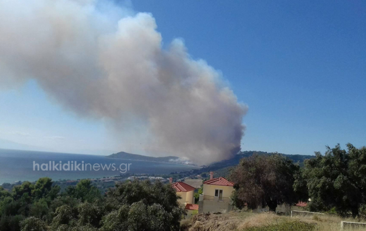 Στις αυλές των σπιτιών φτάνει η φωτιά της Χαλκιδικής! Νέα φωτιά στις Σέρρες! [vid]