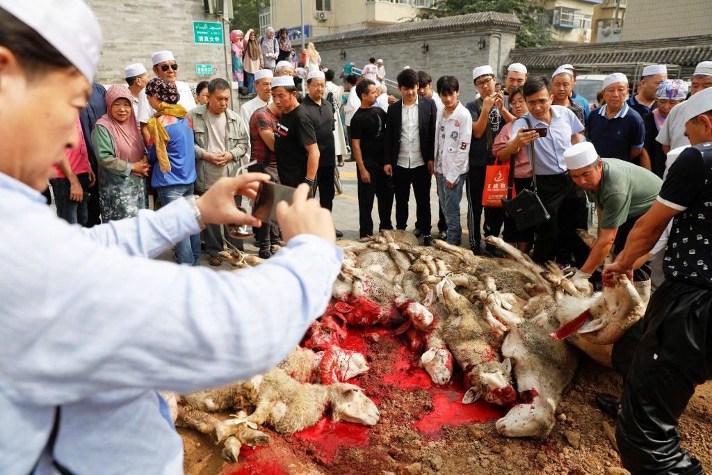 Βάρβαρο έθιμο! Λίμνη αίματος σε θυσία ζώων