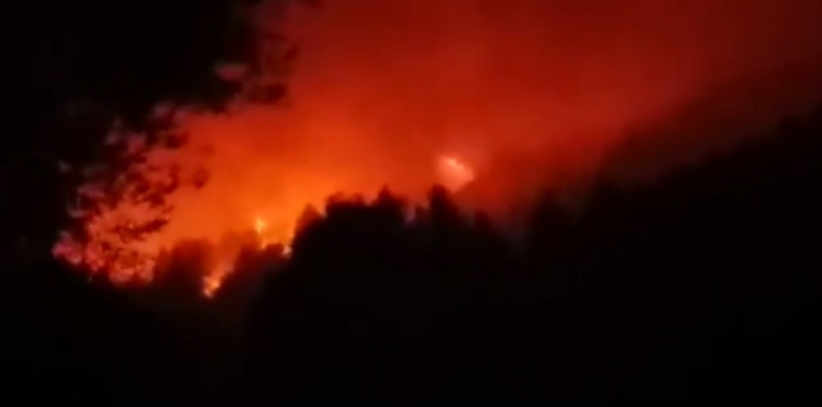 Φωτιά στην Αχαΐα: Πύρινος εφιάλτης – Νέο μέτωπο! Κάηκαν σπίτια στο Ελαιοχώρι