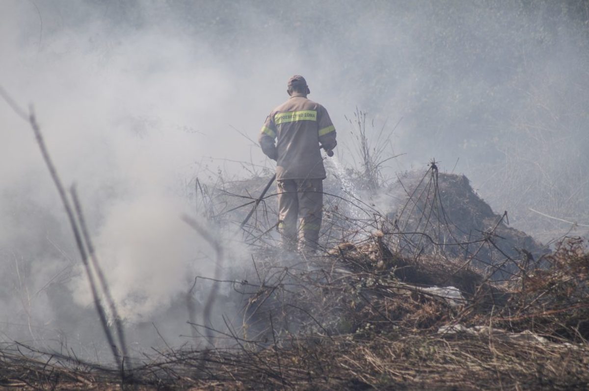 Τρεις πυρκαγιές σε εξέλιξη σε Φάρσαλα και Ελασσόνα
