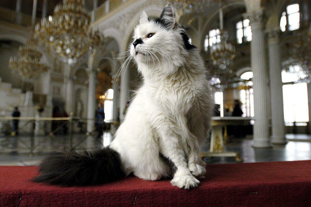 Ρωσία: Πέθαναν διάσημες γάτες του Ερμιτάζ