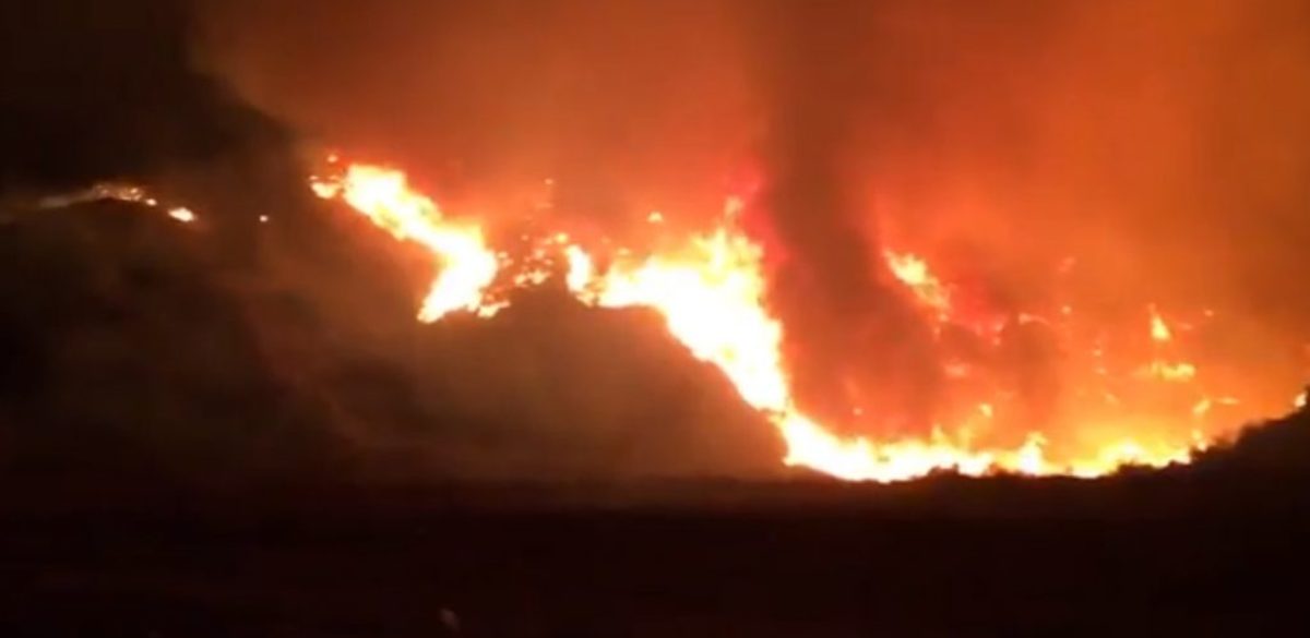 Κατακαίει τα πάντα η φωτιά στο Λος Άντζελες – Εκκενώθηκαν πάνω από 500 σπίτια [pics, vid]