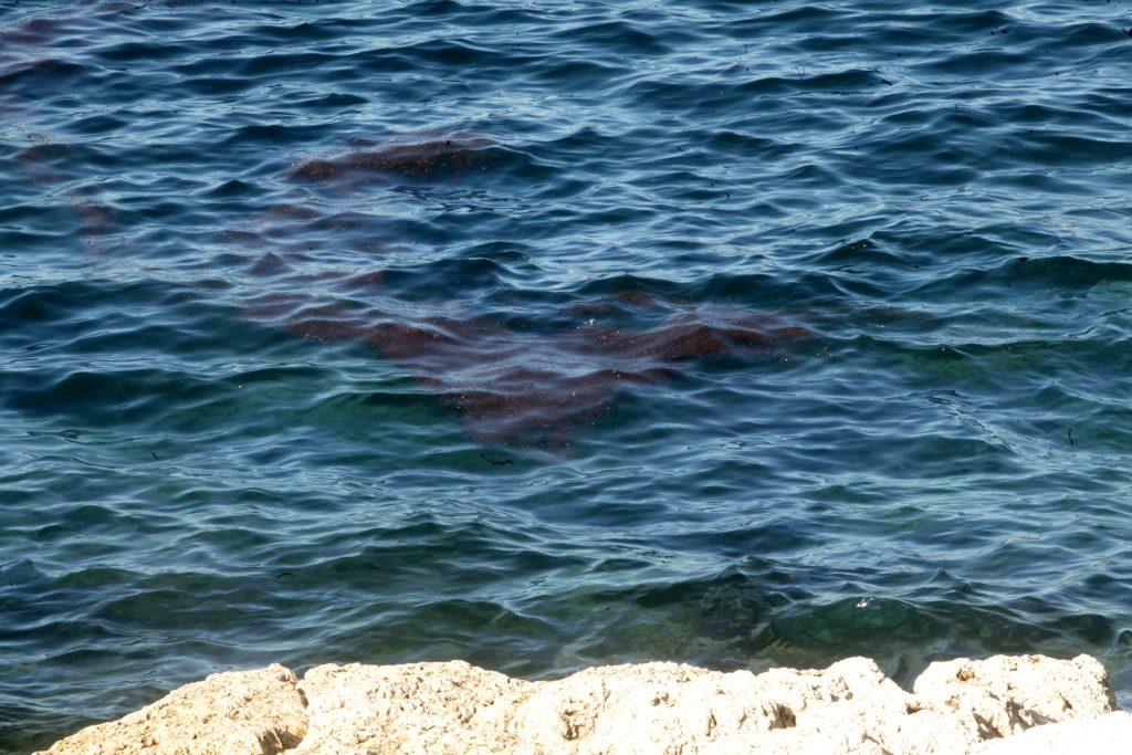 πετρελαιοκηλίδα Lassea πλοίαρχος