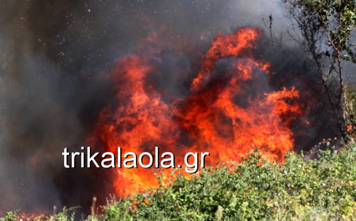 Μεγάλη φωτιά στο Κεφαλόβρυσο Τρικάλων [vid]