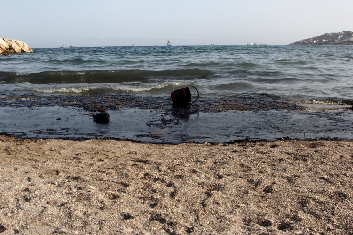 Σαλαμίνα: Ερήμωσαν στεριά και θάλασσα – Μεγάλη οικολογική και οικονομική καταστροφή