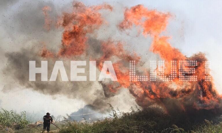 Ηλεία: Μεγάλη φωτιά στο Σκουροχώρι – Προσαγωγή ανήλικου υπόπτου [pics]