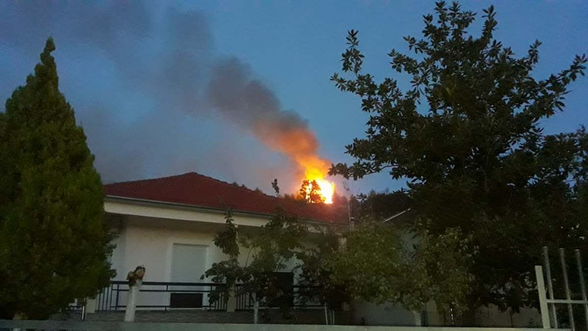 Καλαμπάκα: Απειλεί σπίτια η φωτιά στην Βασιλική [pics]
