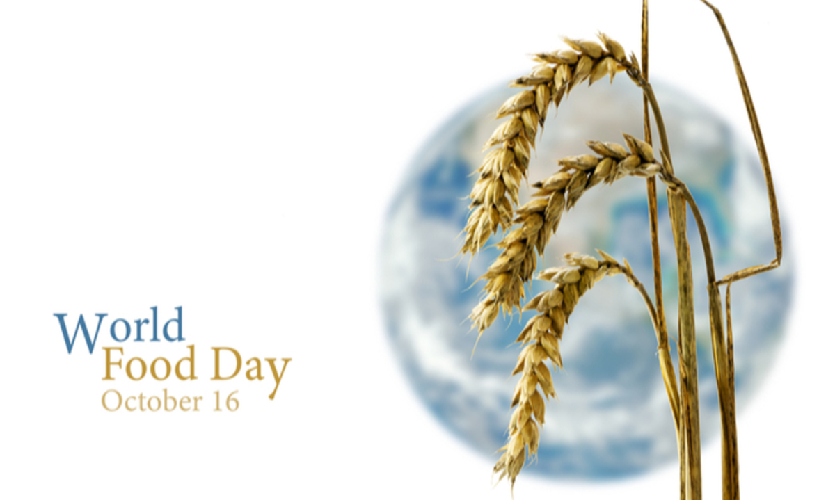 Παγκόσμια Ημέρα Σίτισης 2017: Κεντρικό θέμα που αγγίζει την Ελλάδα!