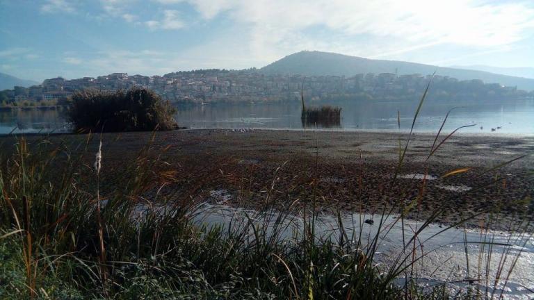 Καστοριά: Αλλαγή σκηνικού στη διάσημη λίμνη – Η απώλεια νερού την κάνει… πιο φιλόξενη [pics]