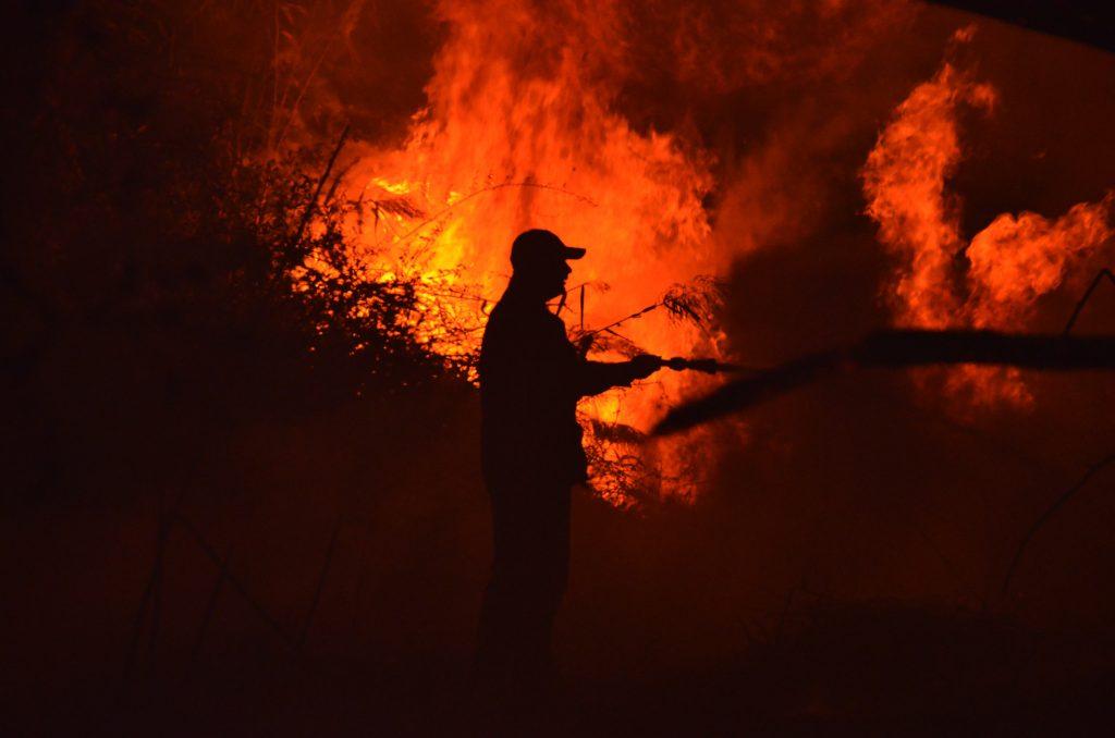 Αχαϊα: Φωτιά σε προστατευόμενη δασική έκταση στην περιοχή Καλόγρια – Επί τόπου ισχυρές πυροσβεστικές δυνάμεις!