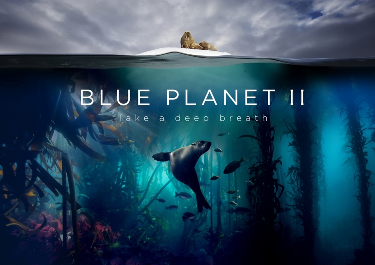 Blue Planet II: Το πολυαναμενόμενο ντοκιμαντέρ του BBC Earth κάνει πρεμιέρα αποκλειστικά στην COSMOTE TV