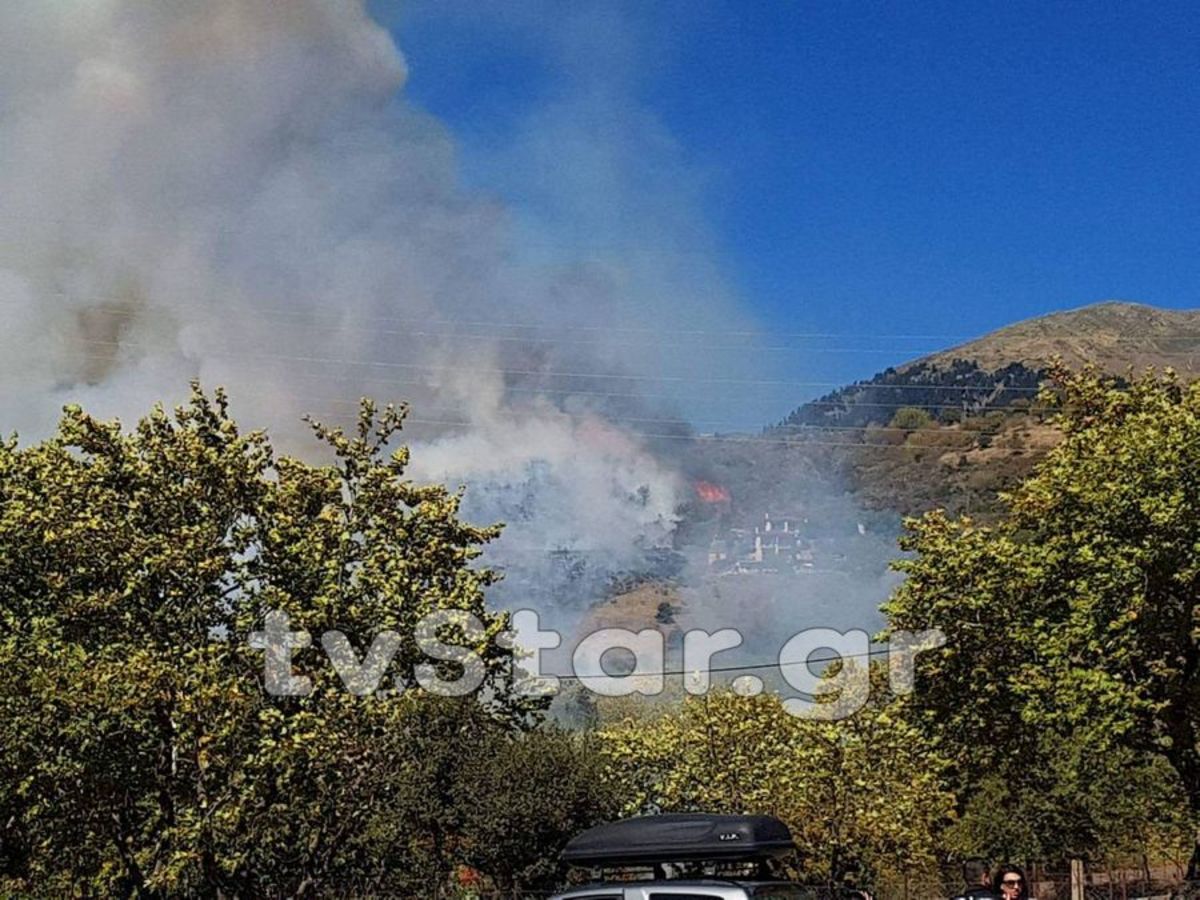 Καρπενήσι: Μεγάλη φωτιά δίπλα σε σπίτια και ξενοδοχεία! Κάηκαν ζώα και μελίσσια! [vid]