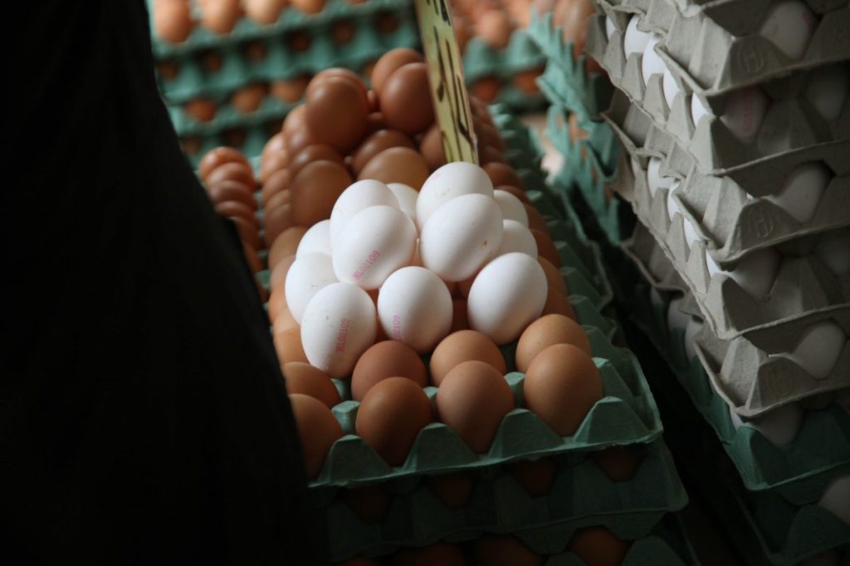 Σε τρόφιμα με αυγά το εντομοκτόνο Fipronil!