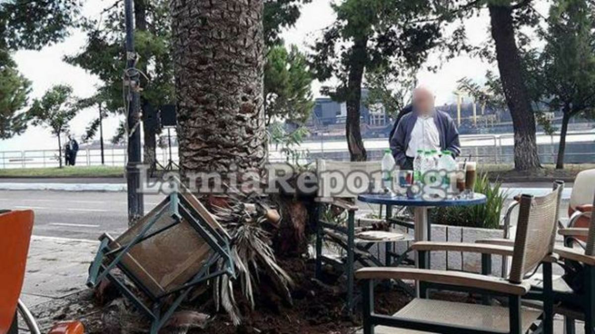 Απίστευτο ατύχημα στη Φθιώτιδα – Της έπεσε… φοίνικας στο κεφάλι! [pics]
