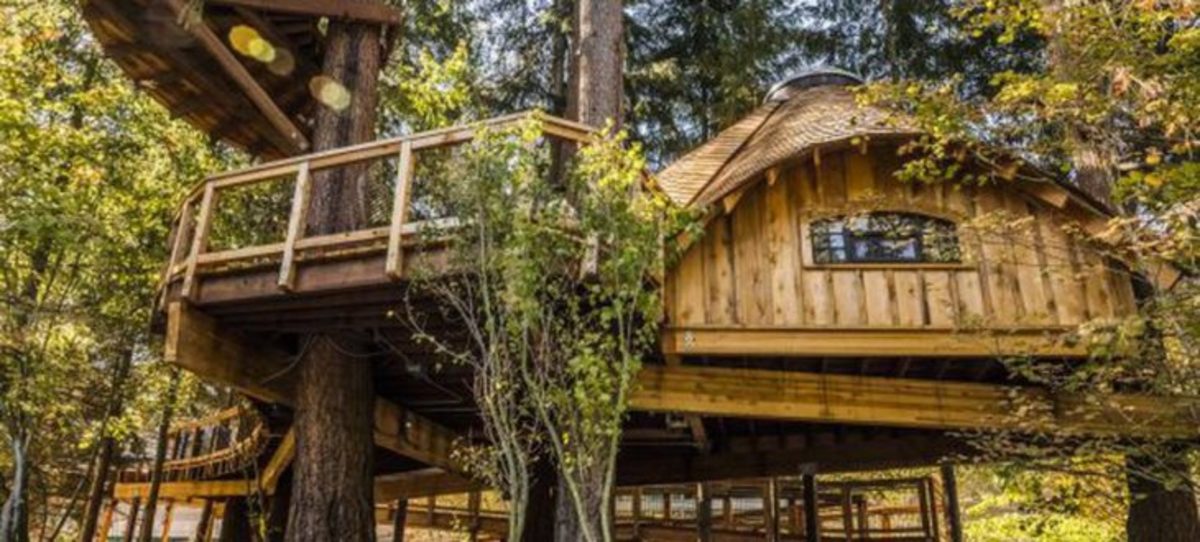 Microsoft Treehouses