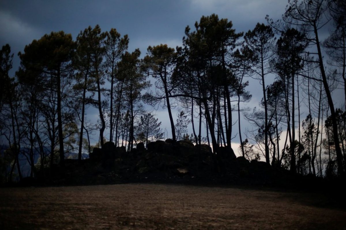 Παραιτήθηκε η υπουργός Εσωτερικών της Πορτογαλίας για τις καταστροφικές πυρκαγιές