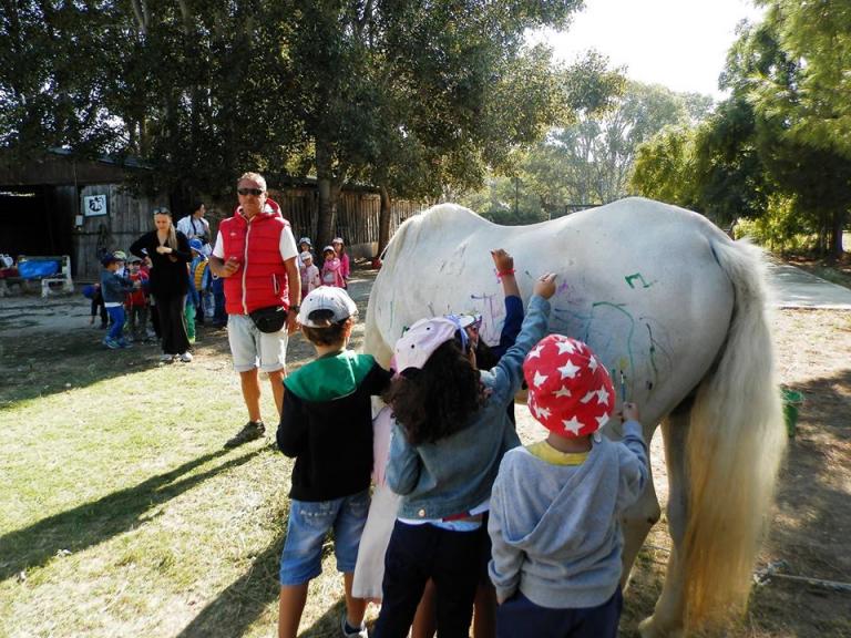 Μηνύσεις για τη ζωγραφική πάνω σε άλογο από παιδιά