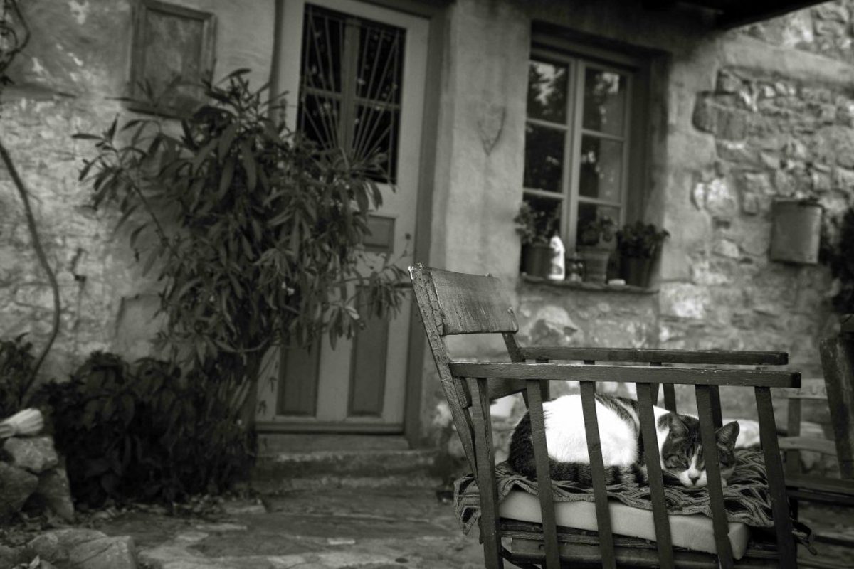 Πύργος: Έζησε επί 3 ημέρες πεσμένη στο πάτωμα του σπιτιού της – Συγκίνηση για την ανήμπορη γριούλα!