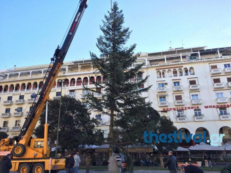 Θεσσαλονίκη: Στήθηκε το χριστουγεννιάτικο δέντρο στην πλατεία Αριστοτέλους – Η πόλη στολίζεται [pic, vids]