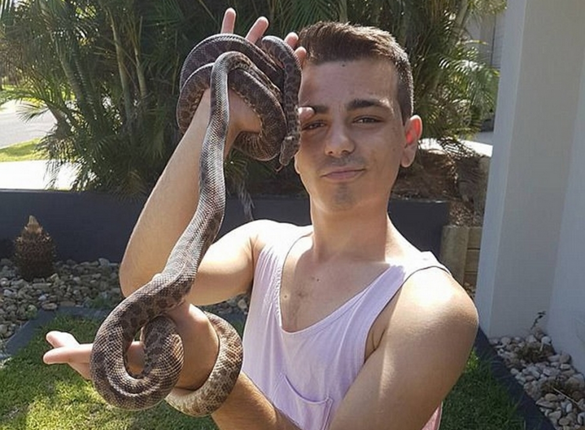 Χαροπαλεύει 19χρονος! Τον δάγκωσε θανατηφόρο φίδι που είχε για κατοικίδιο