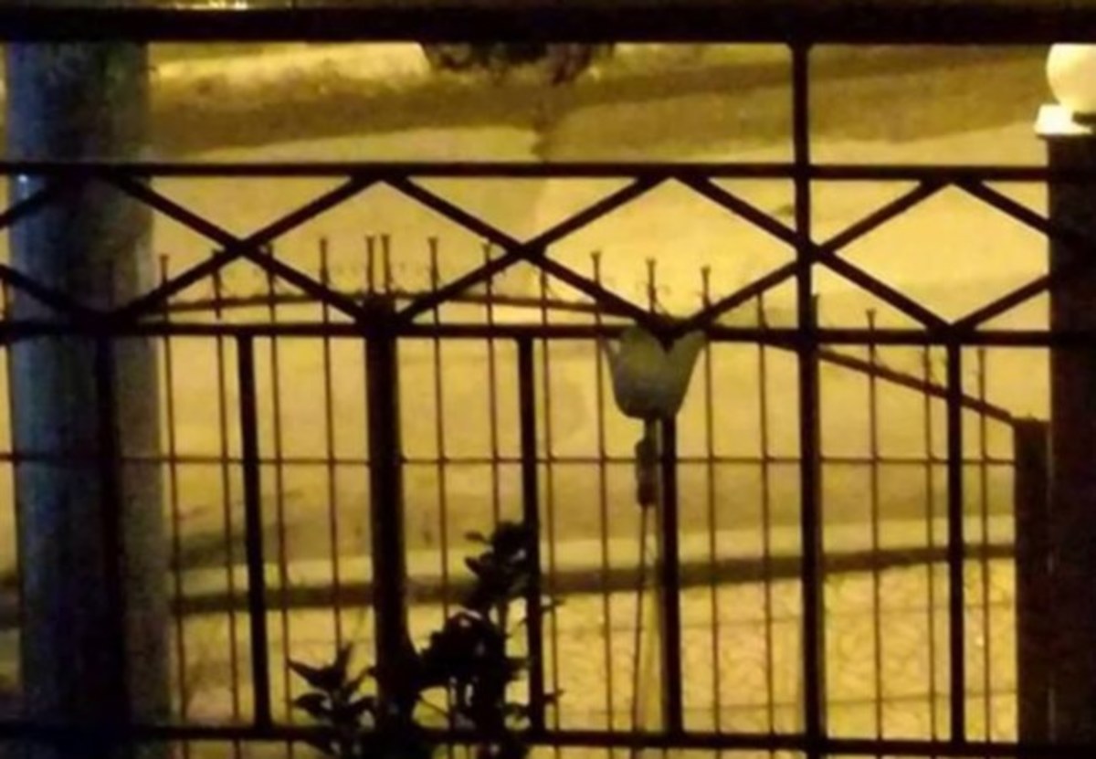 Θεσσαλονίκη: Ξύπνησε μετά τα μεσάνυχτα και είδε από το μπαλκόνι του σπιτιού αυτές τις εικόνες [pics]