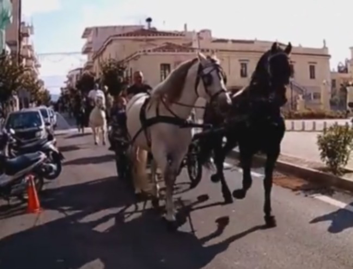 Άργος: Δωρέαν βόλτες με άμαξες και πανέμορφα άλογα που έβγαλαν τον κόσμο στους δρομους [vid]