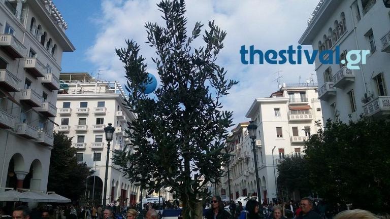 Θεσσαλονίκη: Αυτή είναι η “βελανιδιά της ζωής” που φυτεύτηκε στην πλατεία Αριστοτέλους [pic, vids]