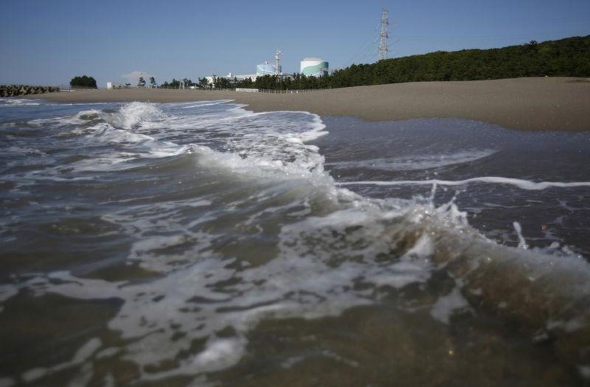 Φρίκη στις ακτές της Ιαπωνίας – Ξεβράζονται πτώματα σε πλήρη αποσύνθεση