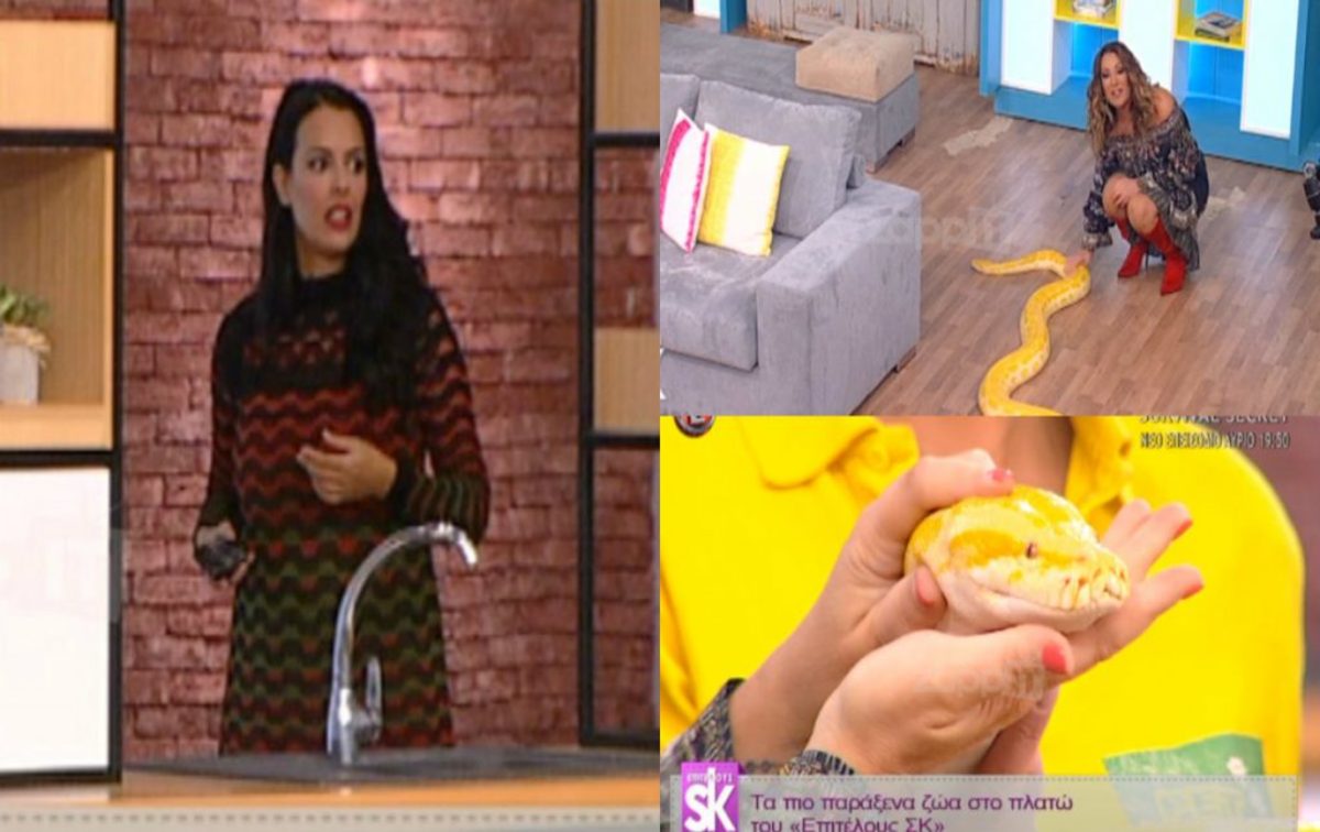 Ταράχτηκε η Όλγα Λαφαζάνη με τον πύθωνα Βιρμανίας! Σηκώθηκε κι έφυγε από το πλατό…
