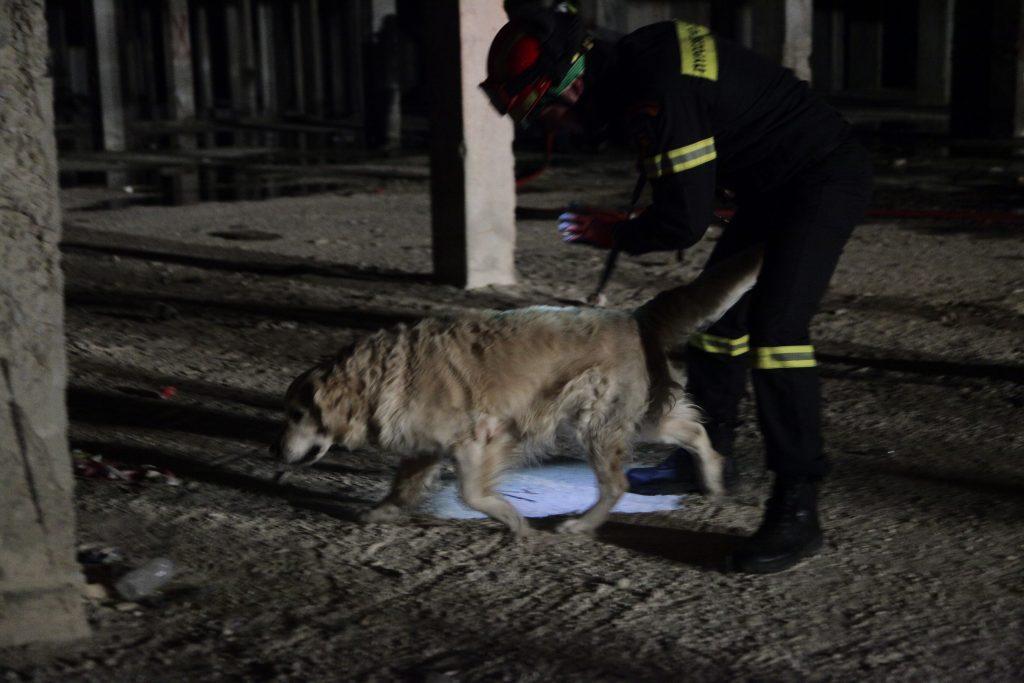 Μαγνησία: Βρέθηκε νεκρός ο κυνηγός που είχε εξαφανιστεί