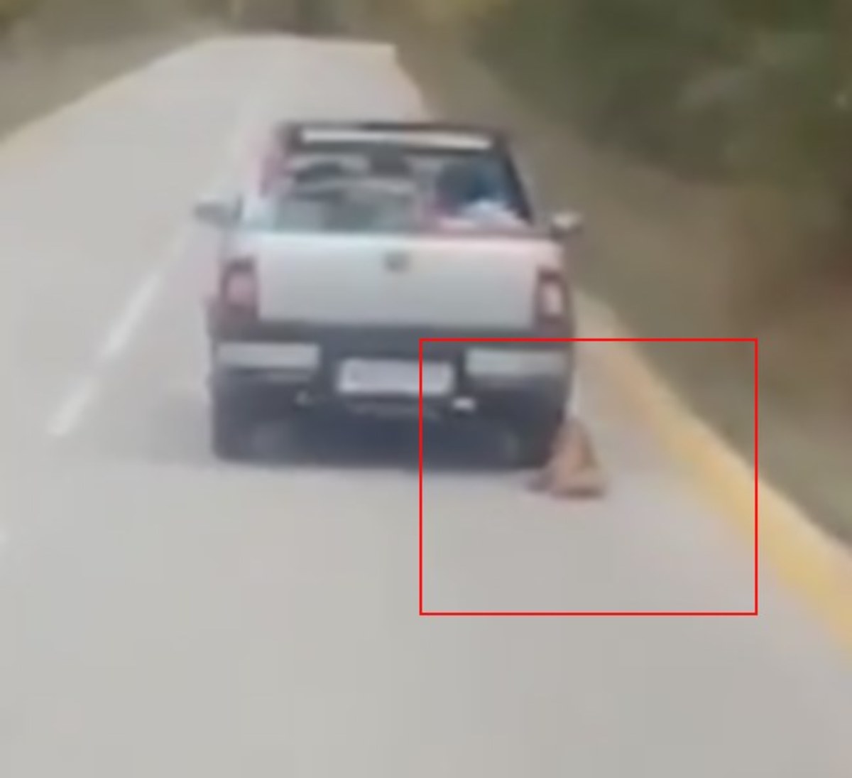 Αχαϊα: Βρέθηκε ο οδηγός που έσερνε με το αυτοκίνητο ένα δεμένο σκύλο – Οι εξηγήσεις στους αστυνομικούς [vid]
