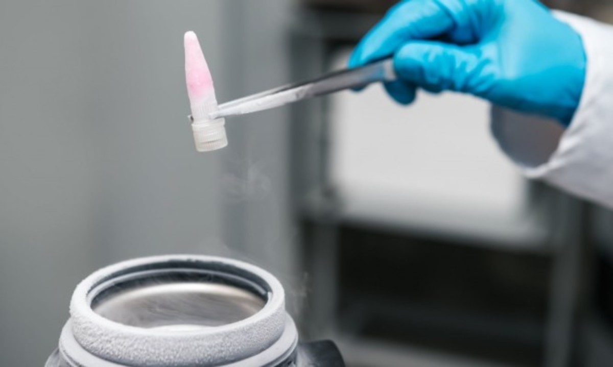 Σκέπτεστε να προχωρήσετε σε κατάψυξη ωαρίων; Δεν είστε η μόνη!