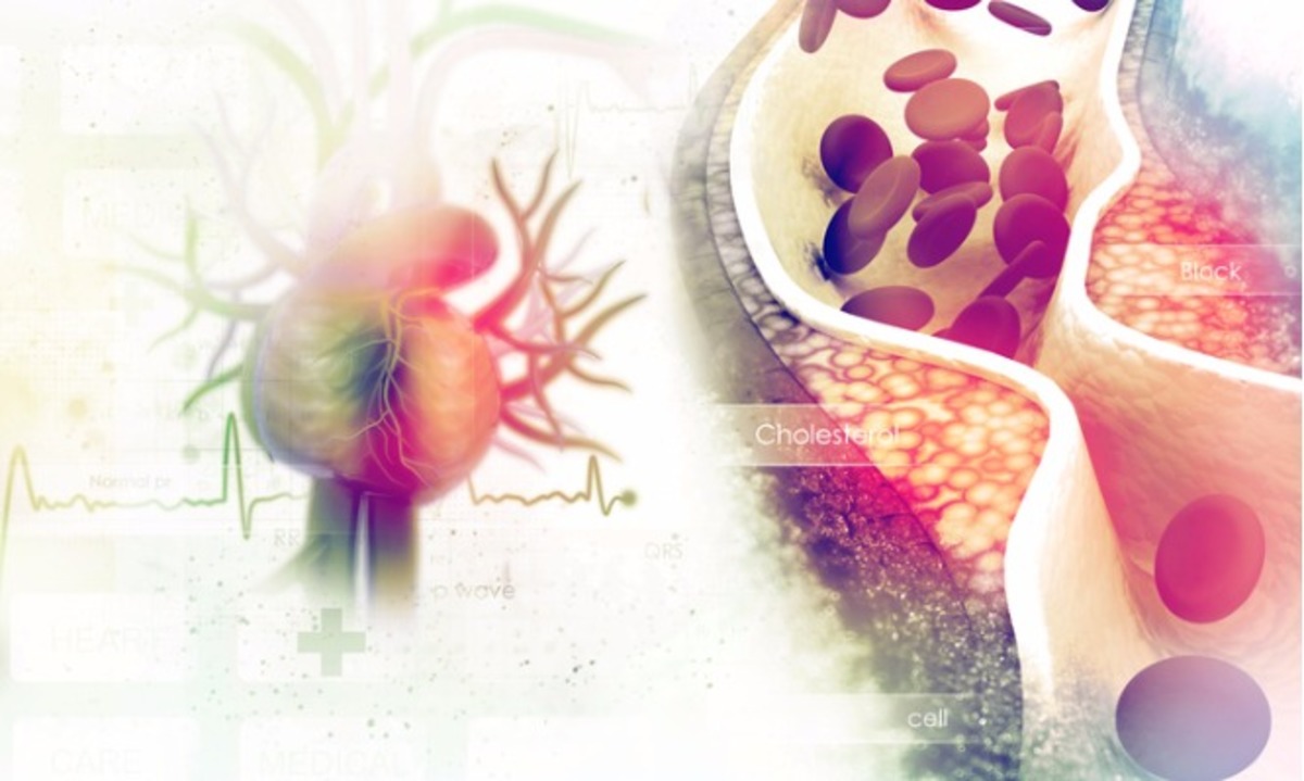 Τι είναι η χοληστερόλη και πώς την χρησιμοποιεί ο οργανισμός – Πότε υπάρχει πρόβλημα [vid]