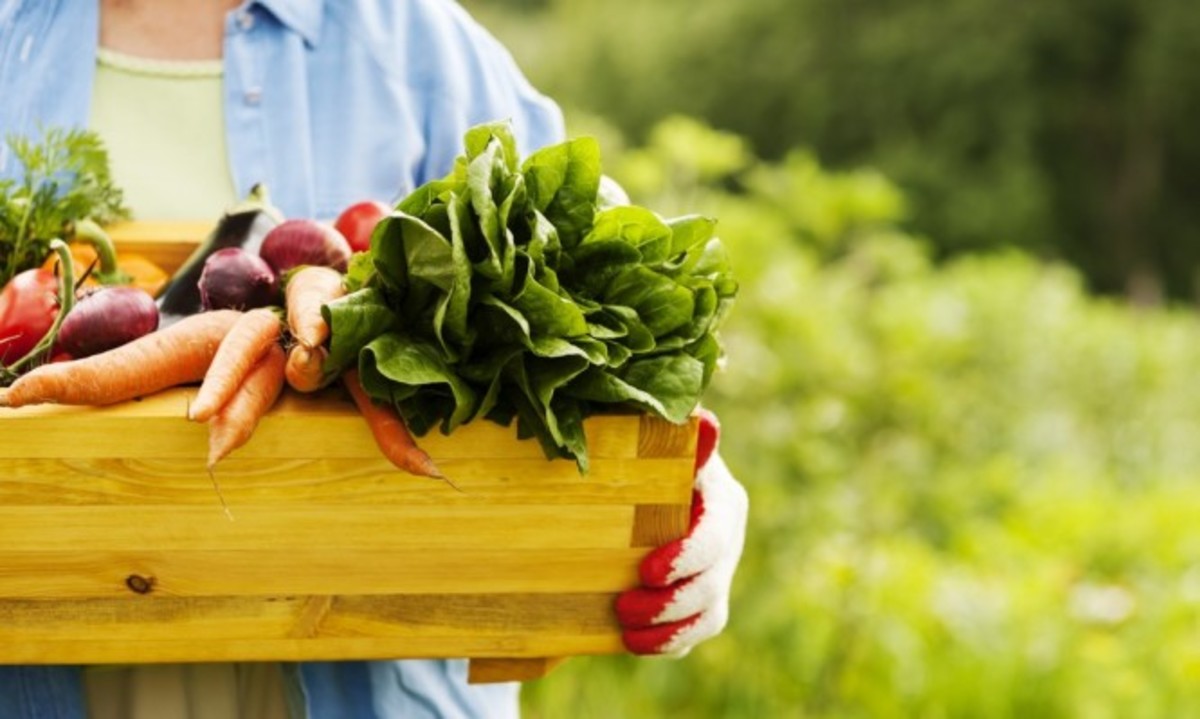 Βιολογικά τρόφιμα: Είναι πιο θρεπτικά; Τι κερδίζετε; Τι δείχνουν οι έρευνες [vid]