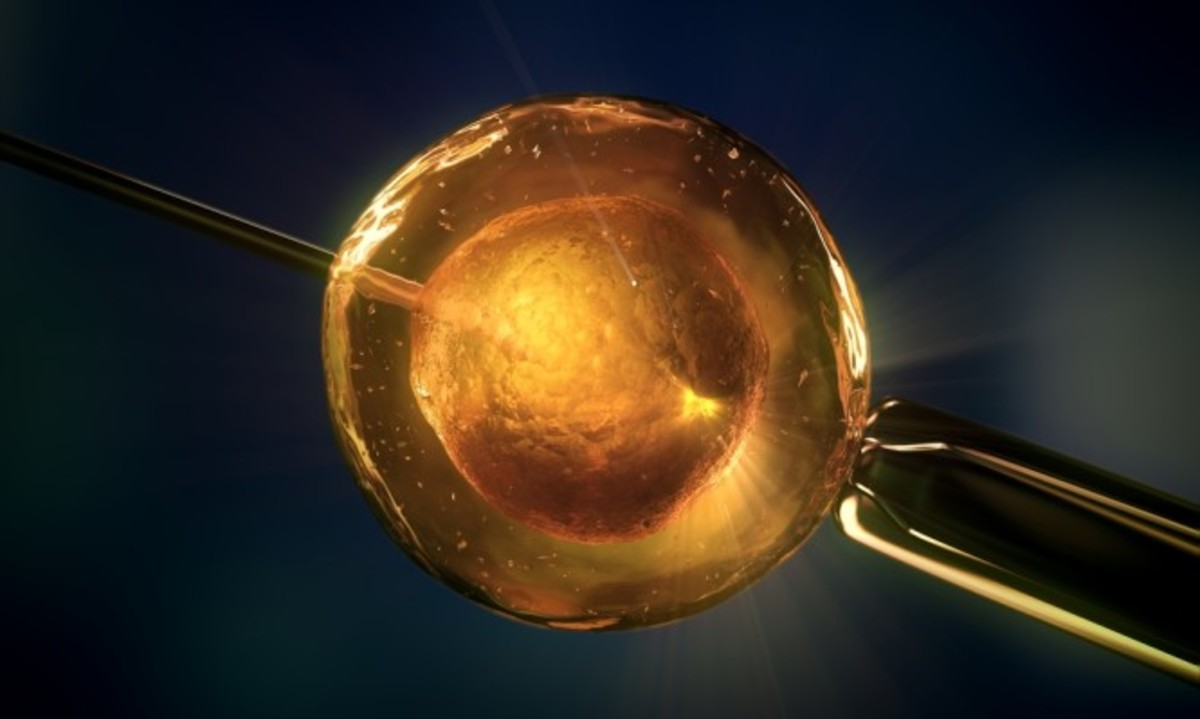 Εξωσωματική γονιμοποίηση: Τι ΔΕΝ βοηθάει την προσπάθειά σας