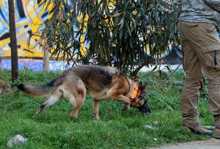 Κρήτη: Έβγαλε βόλτα το σκυλάκι του και βρέθηκε τραυματισμένος στο δρόμο