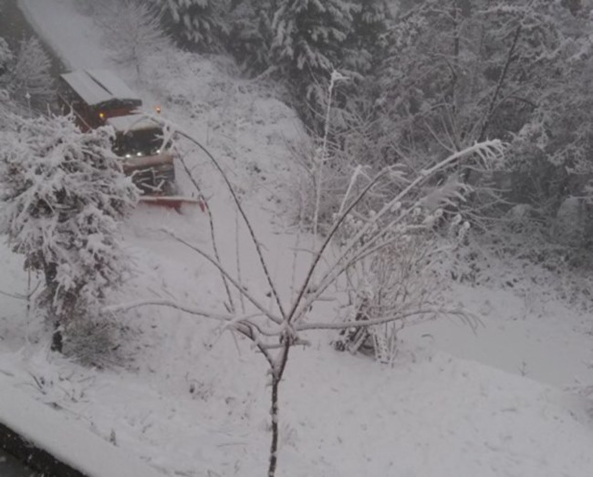 Κορινθία: Κλειστός ο επαρχιακός δρόμος στο διάσελο της Καστανιάς λόγω χιονόπτωσης [pic, vid]