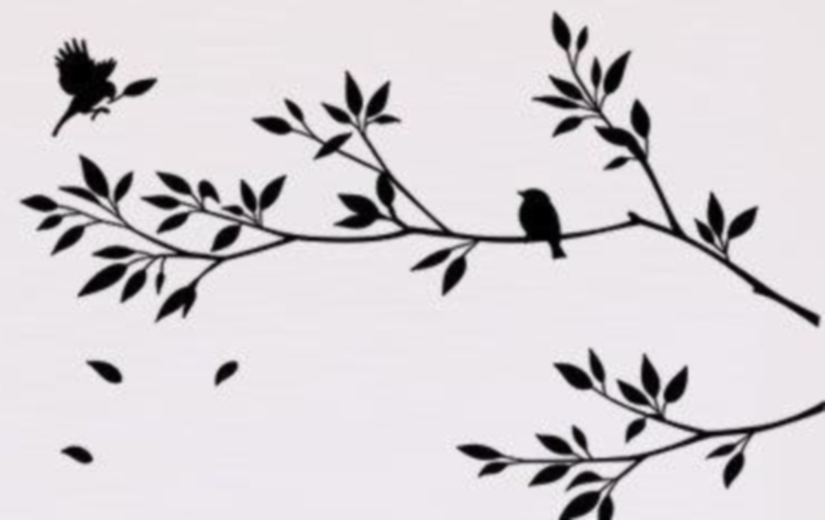 «Δεν ήμουν ποτέ πιστή σε έναν άντρα»