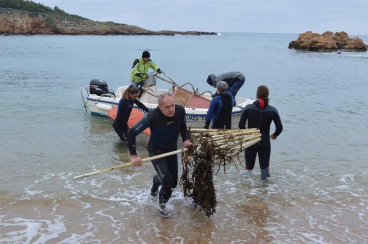 Χανιά: Και ο αντιδήμαρχος βούτηξε στη θάλασσα για να την καθαρίσει [vids]